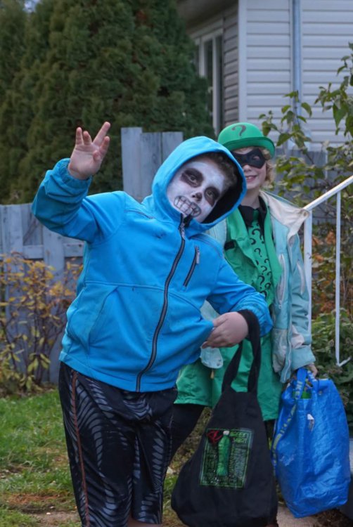 Henry_Oct_2018.JPG